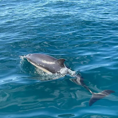 Bayview By Lovelystay Διαμέρισμα