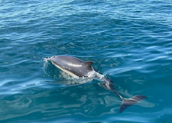 Bayview By Lovelystay Διαμέρισμα